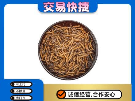 黄山市回收散虫草