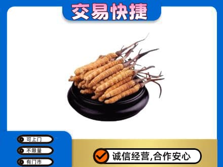 黄山市礼品回收散虫草.jpg